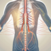 The human body focusing on the nervous system