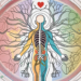 The human nervous system highlighting the parasympathetic nerves